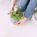 about bg 300x222.jpg
